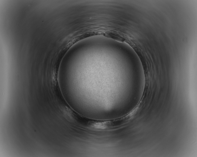 X0000087310178200704201216