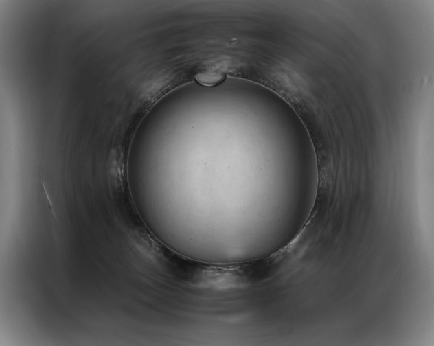X0000087310179200704201216
