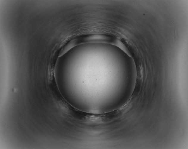X0000087310180200704201216