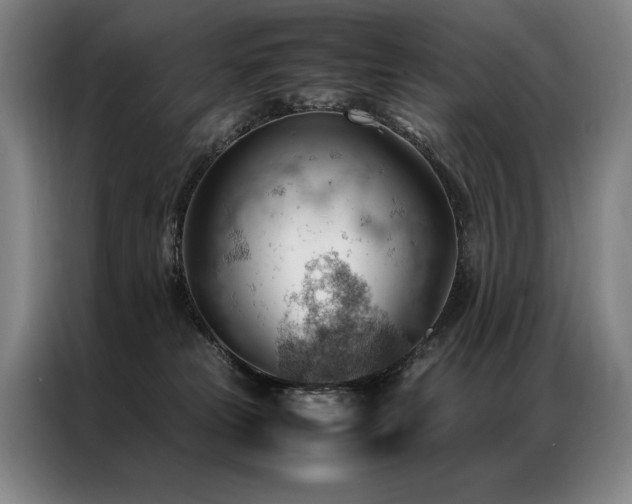 X0000087310181200704201216