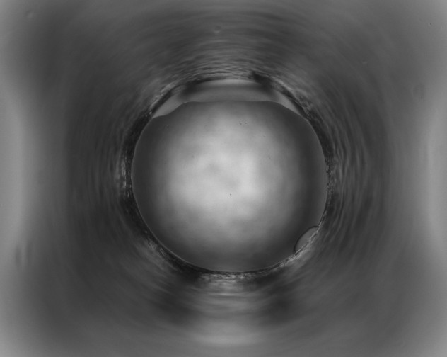 X0000087310182200704201216