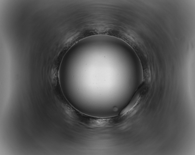X0000087310184200704201216