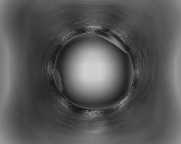 X0000087310186200704201217