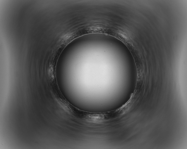 X0000087310187200704201217