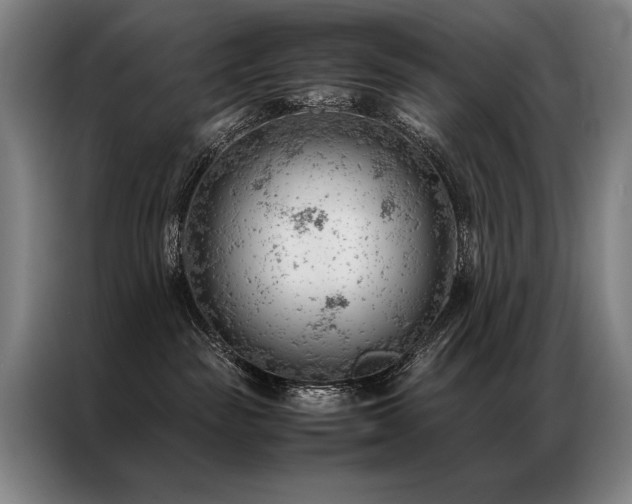X0000087310189200704201217