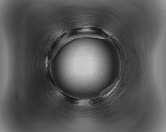 X0000087310192200704201217