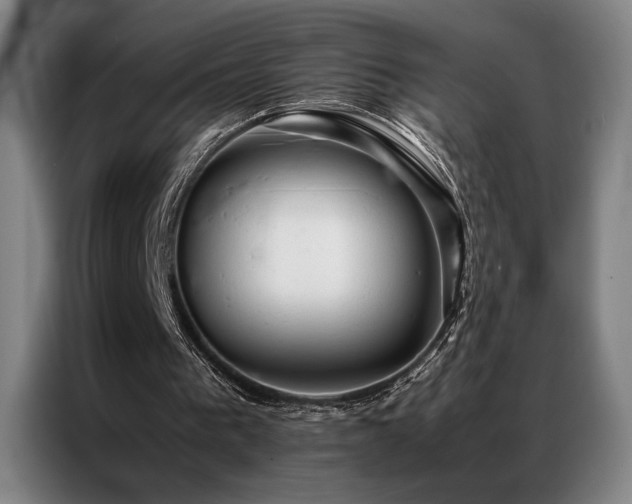 X0000087310193200704201216