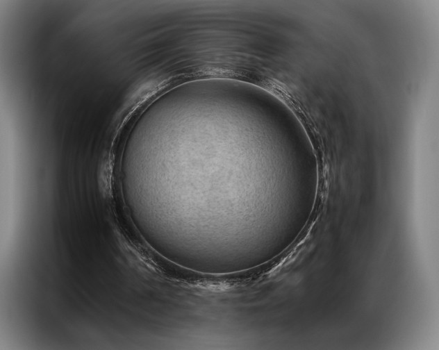 X0000087310194200704201216