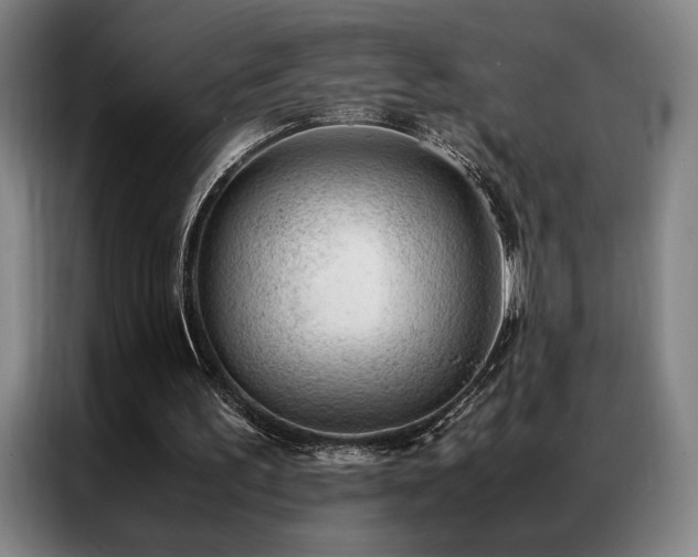 X0000087310195200704201216
