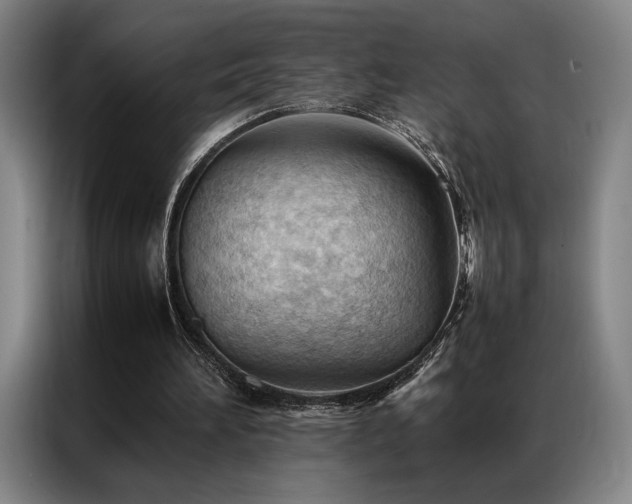 X0000087310196200704201216