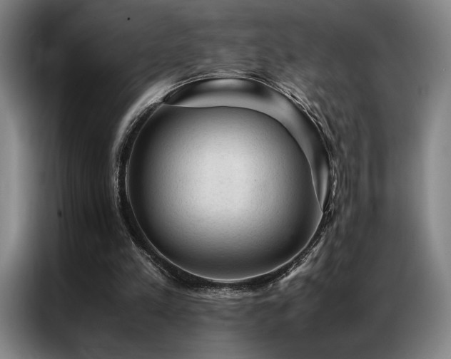 X0000087310197200704201216