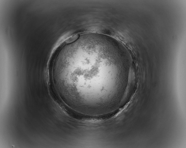 X0000087310198200704201216