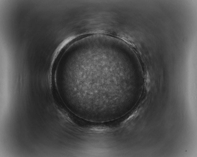 X0000087310200200704201216