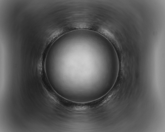 X0000087310202200704201216