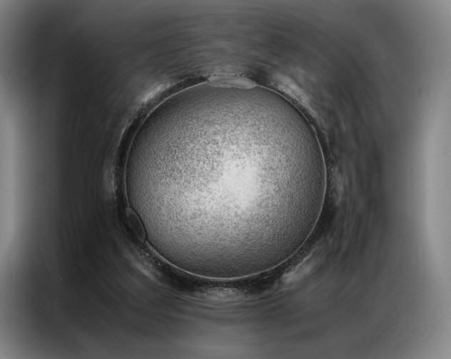 X0000087310203200704201216
