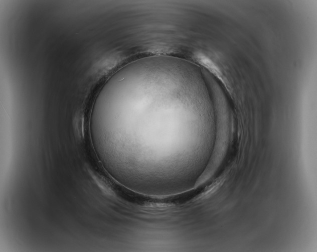 X0000087310205200704201216