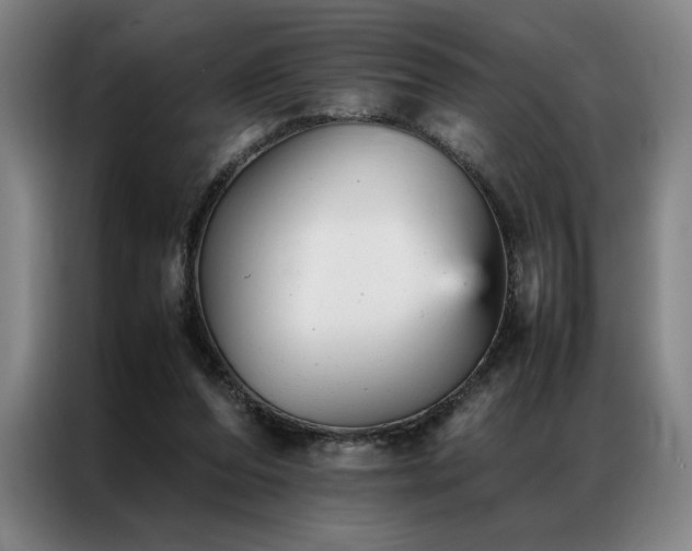 X0000087310208200704201216