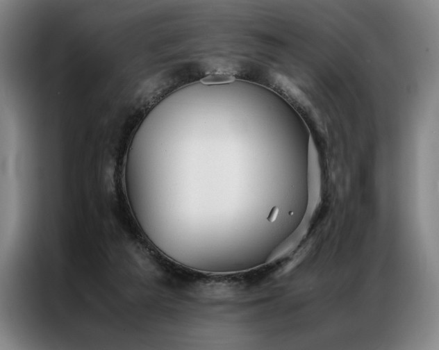 X0000087310209200704201216