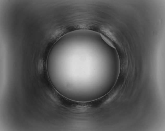 X0000087310213200704201216
