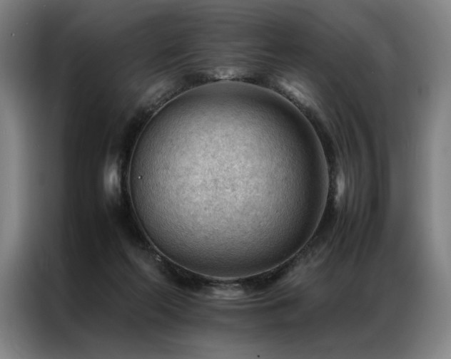 X0000087310214200704201216