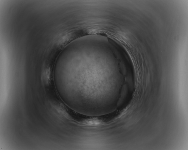 X0000087310219200704201216