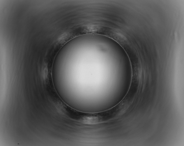 X0000087310220200704201216