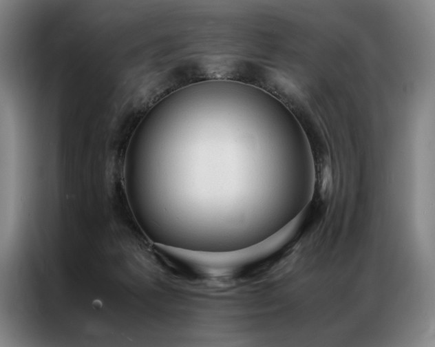 X0000087310221200704201216