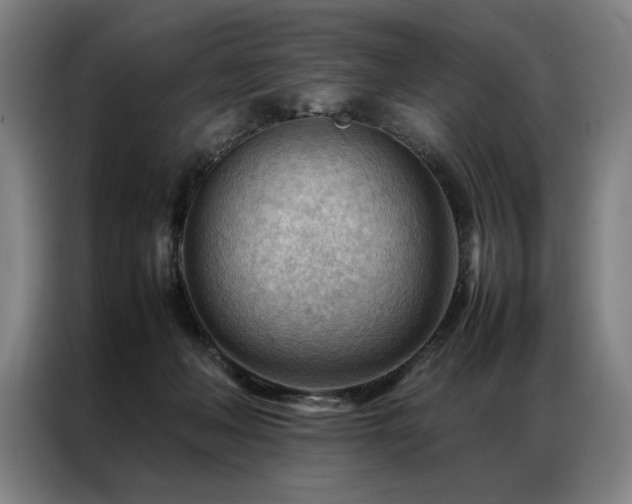 X0000087310222200704201216