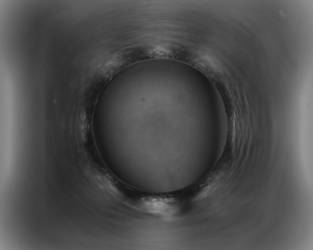 X0000087310223200704201216