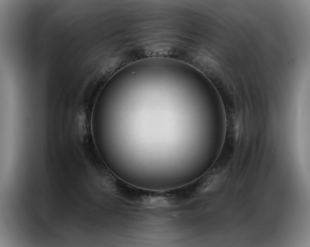 X0000087310224200704201216