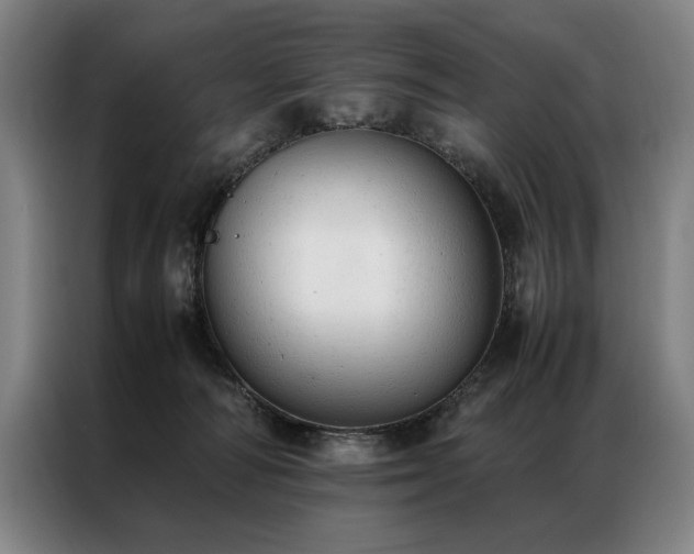 X0000087310226200704201216