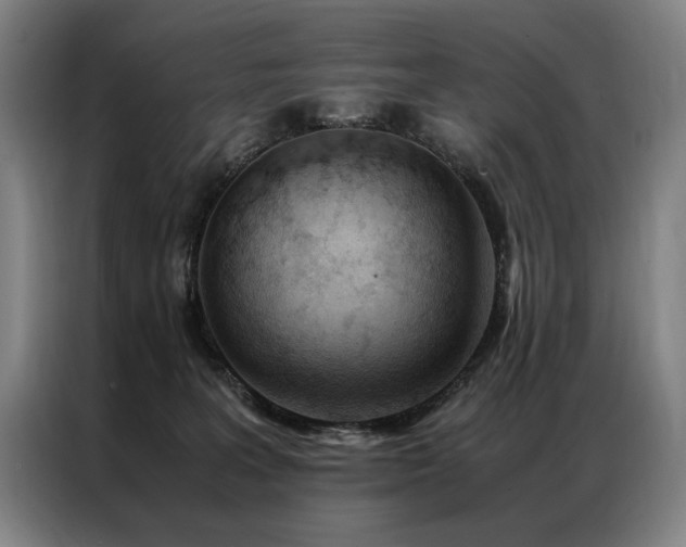 X0000087310227200704201216