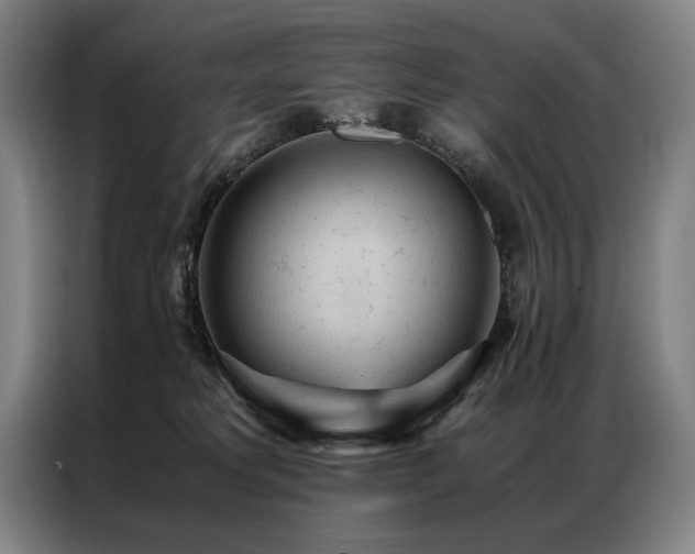 X0000087310229200704201216