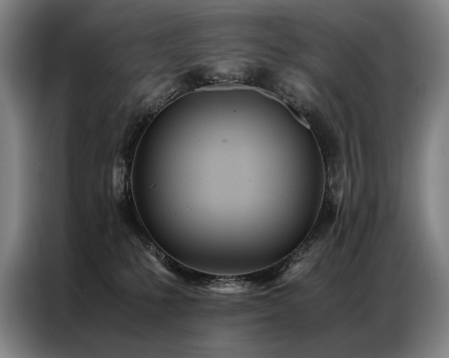 X0000087310231200704201216
