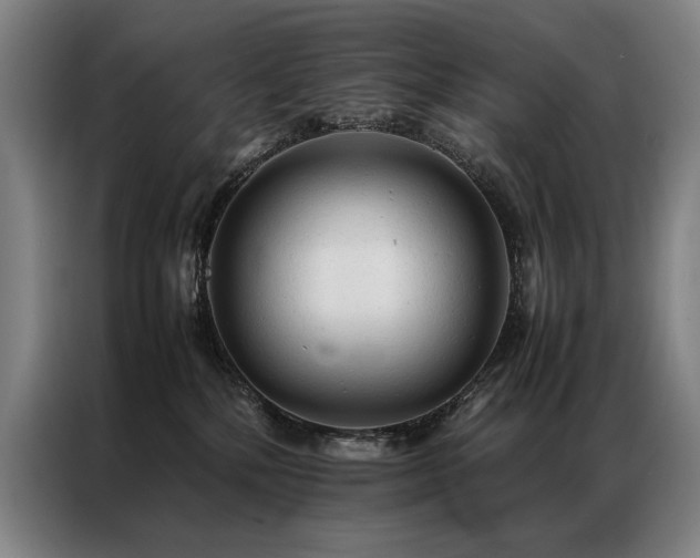 X0000087310232200704201216