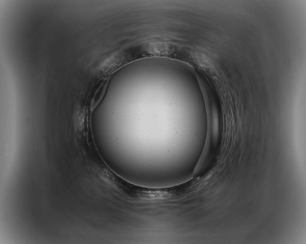 X0000087310233200704201216