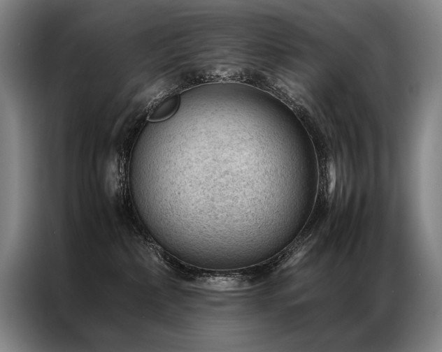 X0000087310236200704201216