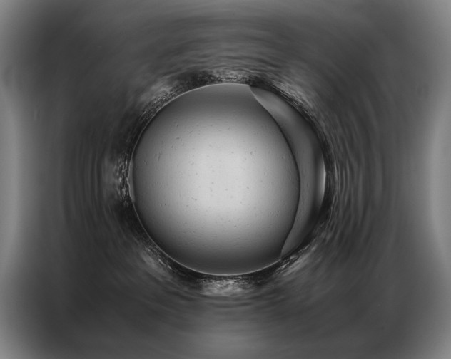 X0000087310237200704201216