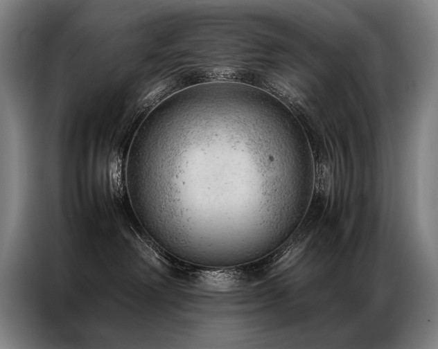 X0000087310238200704201216
