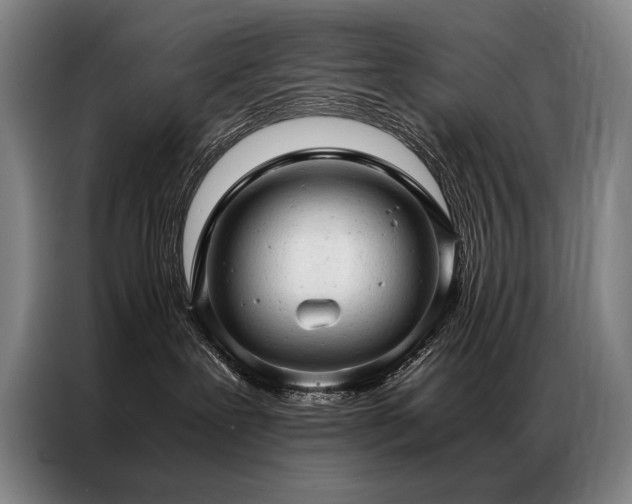 X0000087310239200704201216