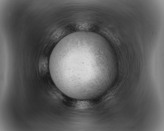 X0000087310240200704201215