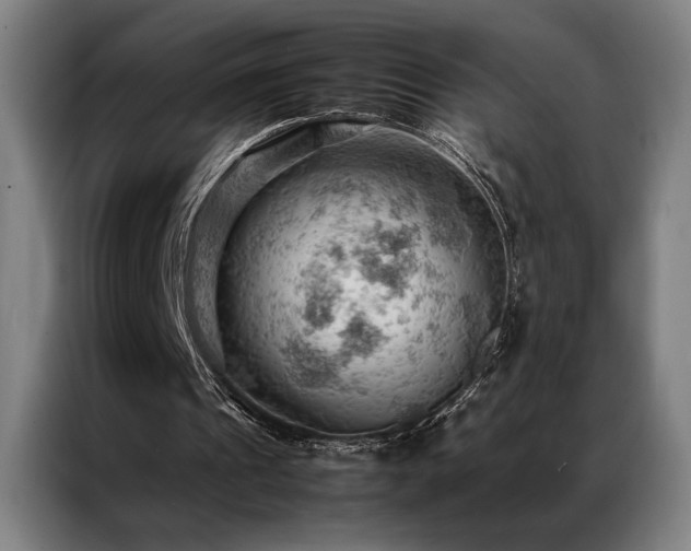 X0000087310241200704201215