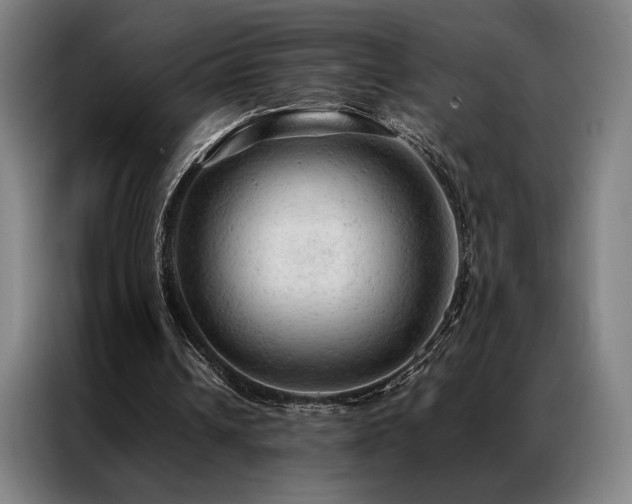 X0000087310242200704201215