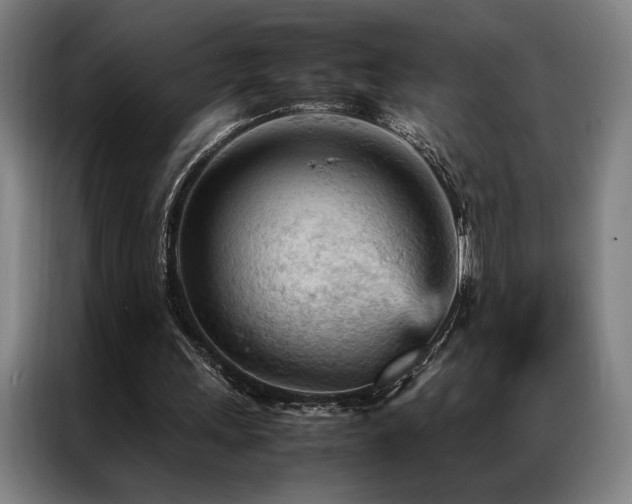 X0000087310243200704201215