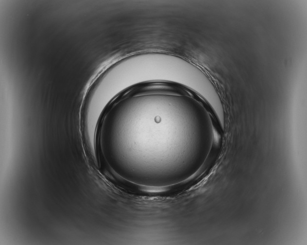 X0000087310244200704201215