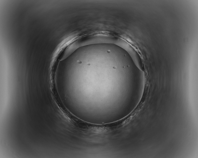 X0000087310245200704201215