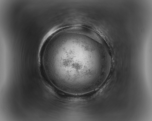 X0000087310246200704201215