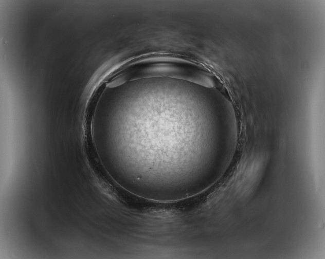 X0000087310247200704201215