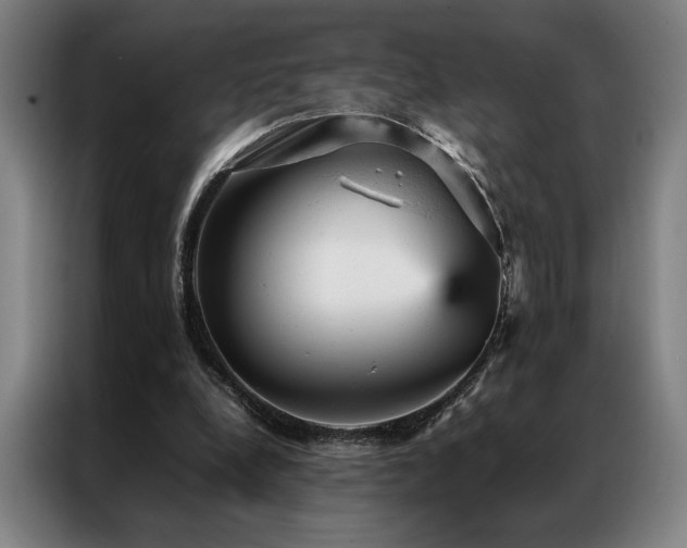 X0000087310248200704201215