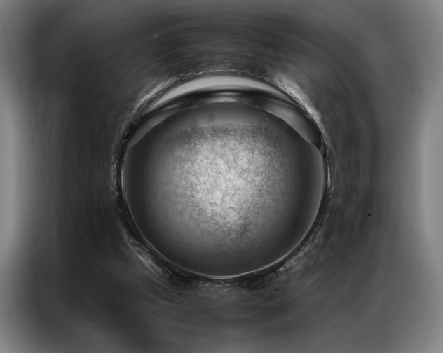 X0000087310249200704201215
